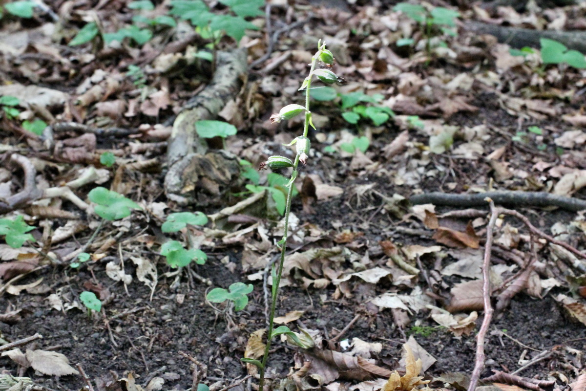 2014_07_15_00048249p_Bildgr��e �ndern