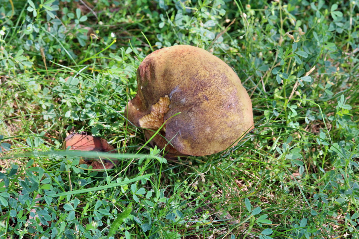 2014_07_15_00048282p_Bildgr��e �ndern