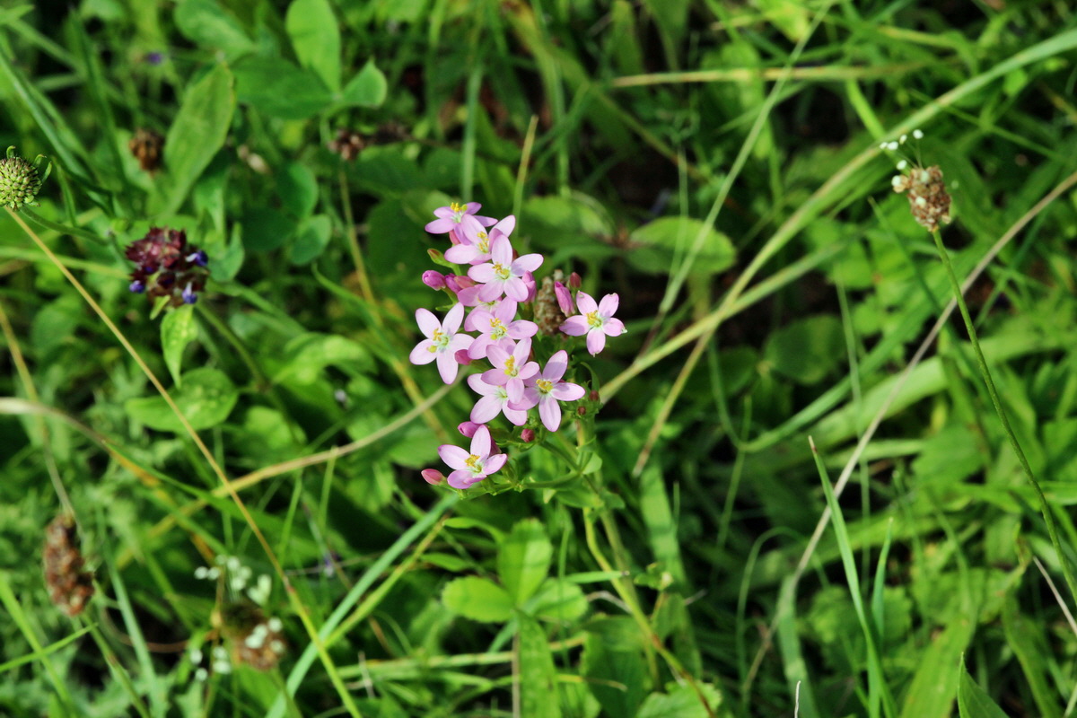 2014_07_15_00048287p_Bildgr��e �ndern