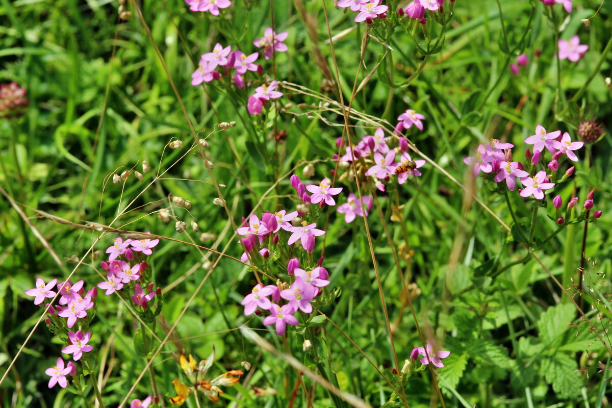 2014_07_15_00048291p_Bildgr��e �ndern