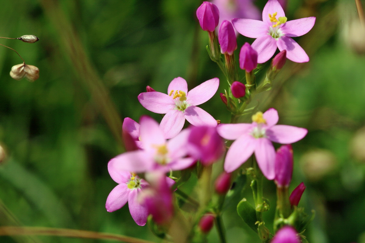 2014_07_15_00048292p_Bildgr��e �ndern