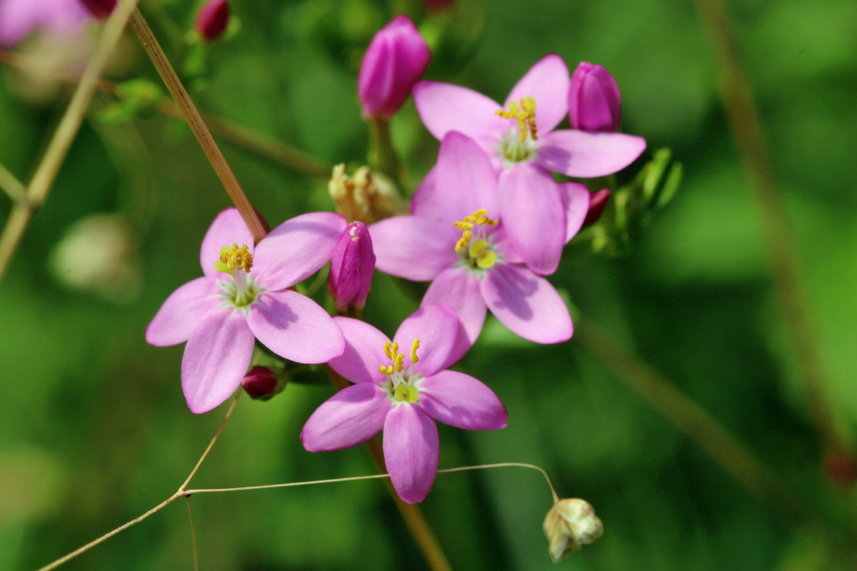 2014_07_15_00048295p_Bildgr��e �ndern