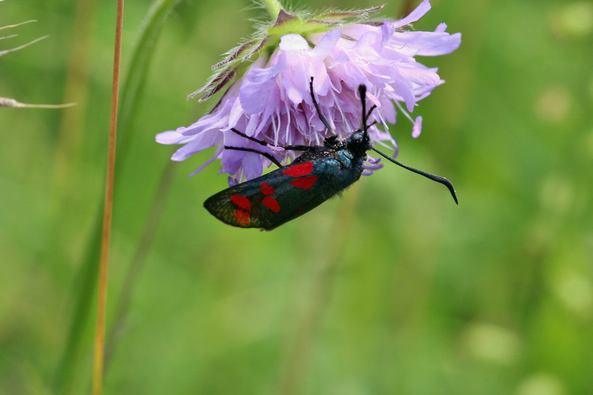 2014_07_15_00048300p_Bildgr��e �ndern