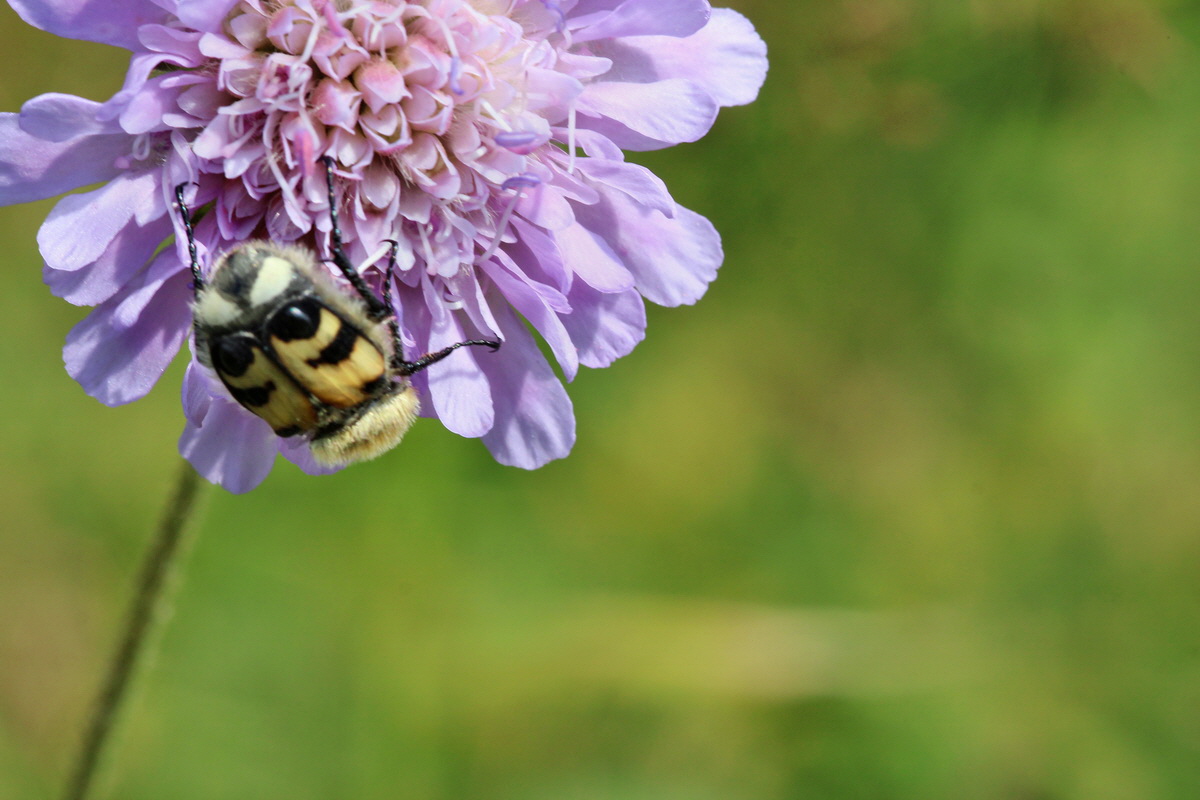 2014_07_15_00048306p_Bildgr��e �ndern