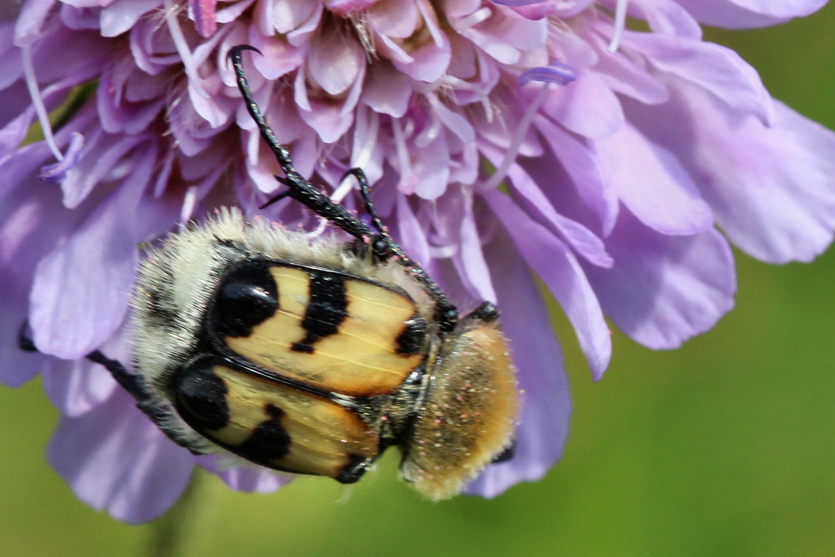 2014_07_15_00048309ap_Bildgr��e �ndern