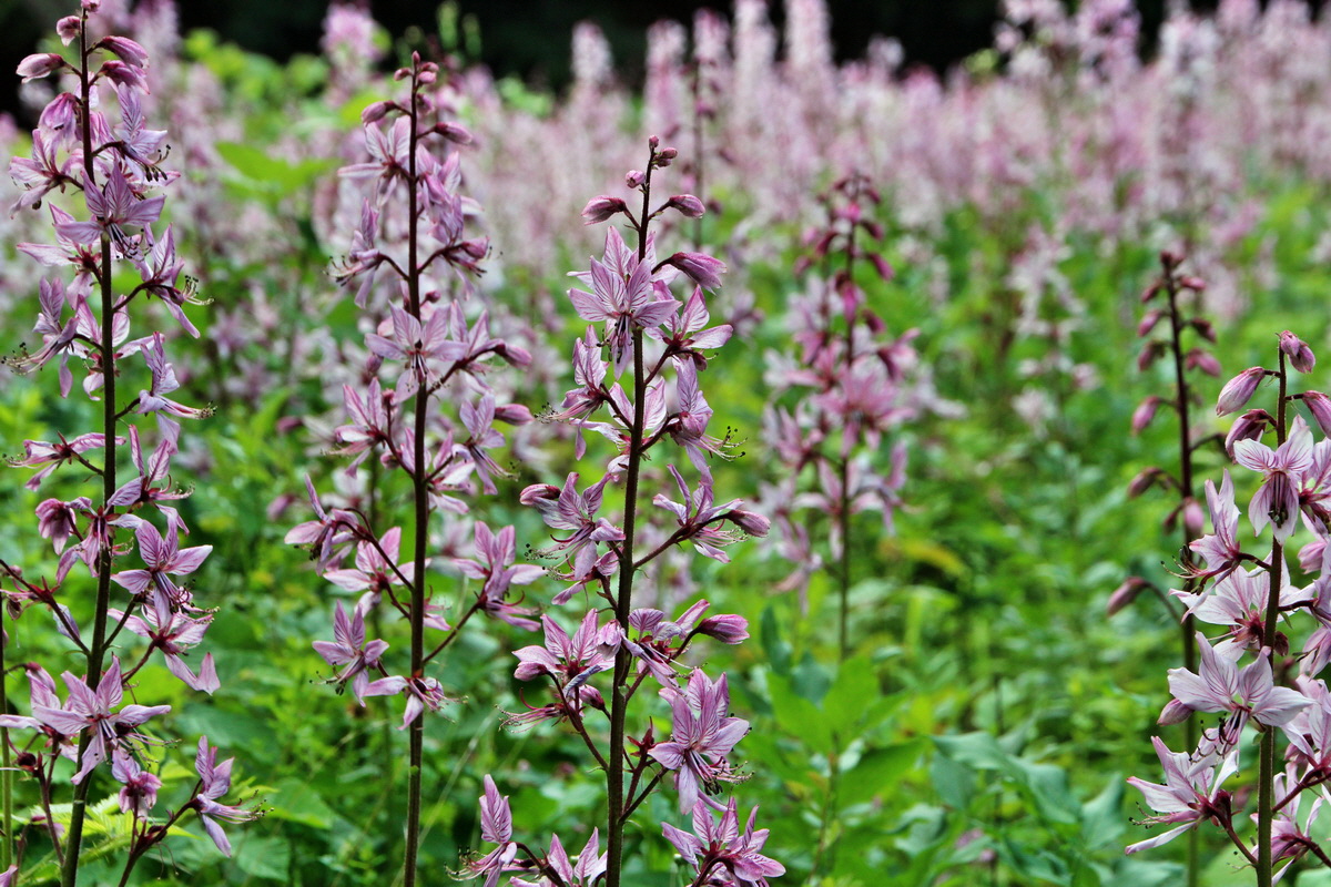 2014_06_01_00044570p_Bildgr��e �ndern