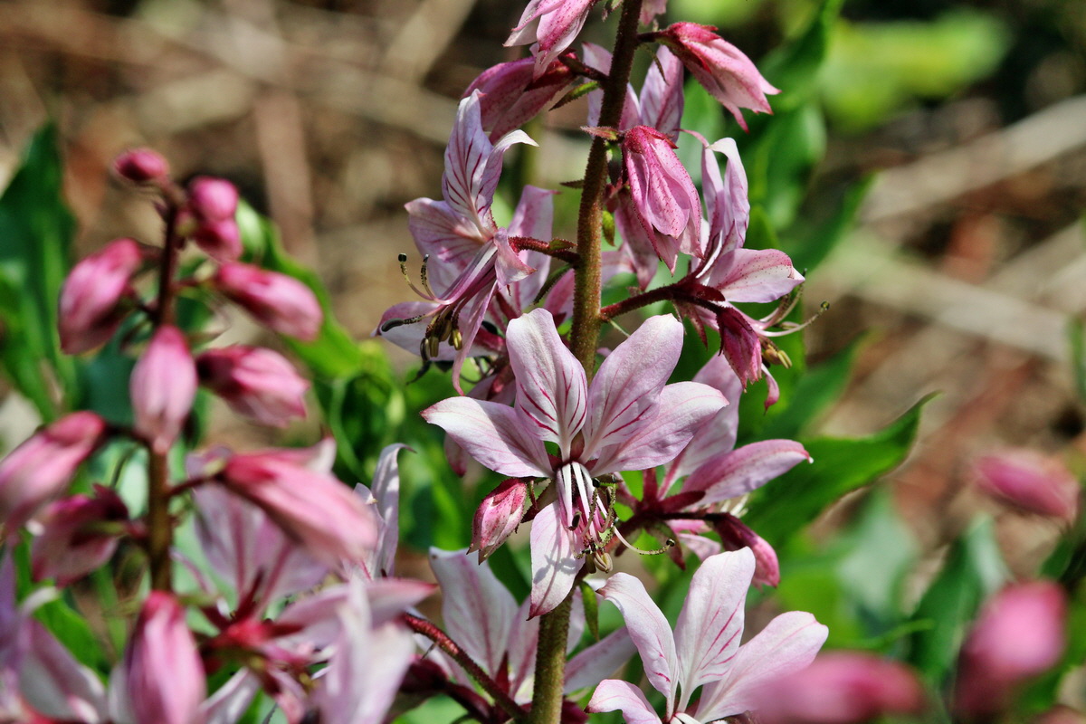 2014_06_01_00044579p_Bildgr��e �ndern