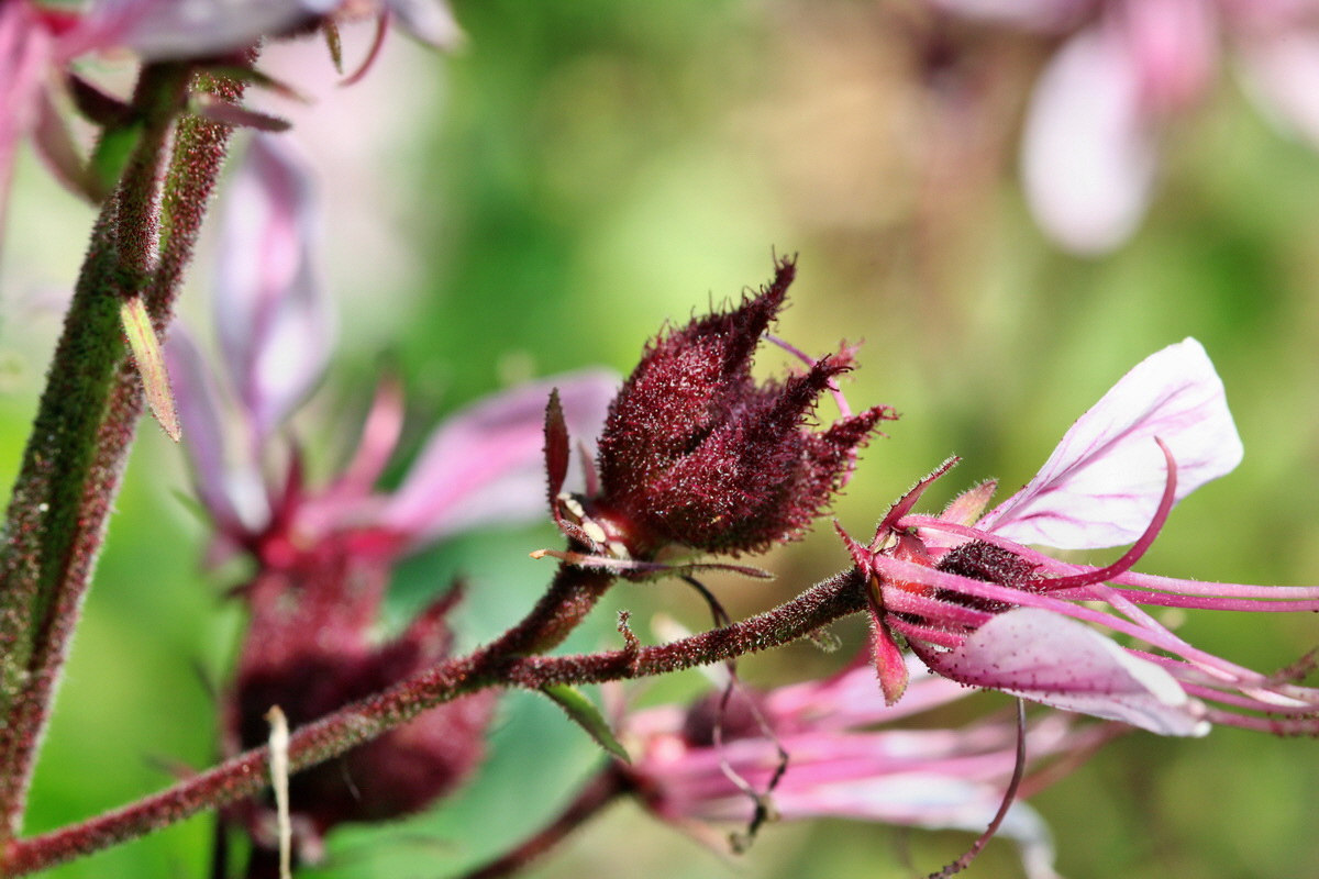 2014_06_01_00044584p_Bildgr��e �ndern