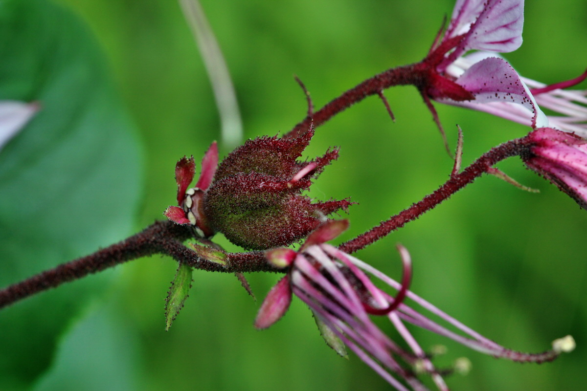 2014_06_01_00044604p_Bildgr��e �ndern