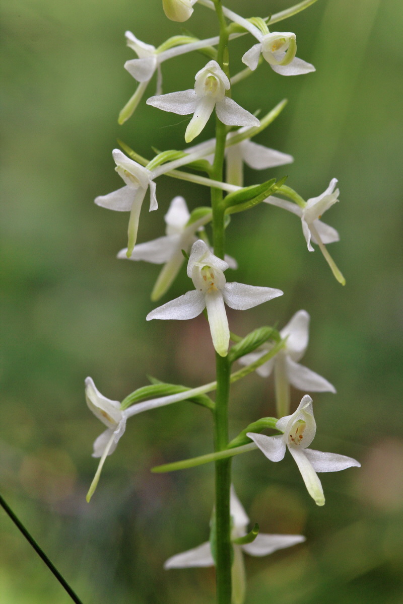 2014_06_01_00044610p_Bildgr��e �ndern