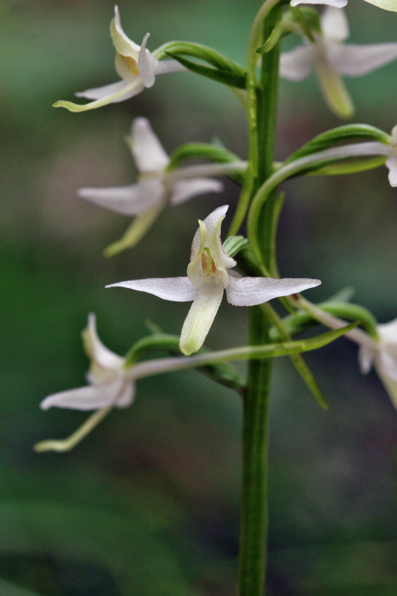 2014_06_01_00044613p_Bildgr��e �ndern