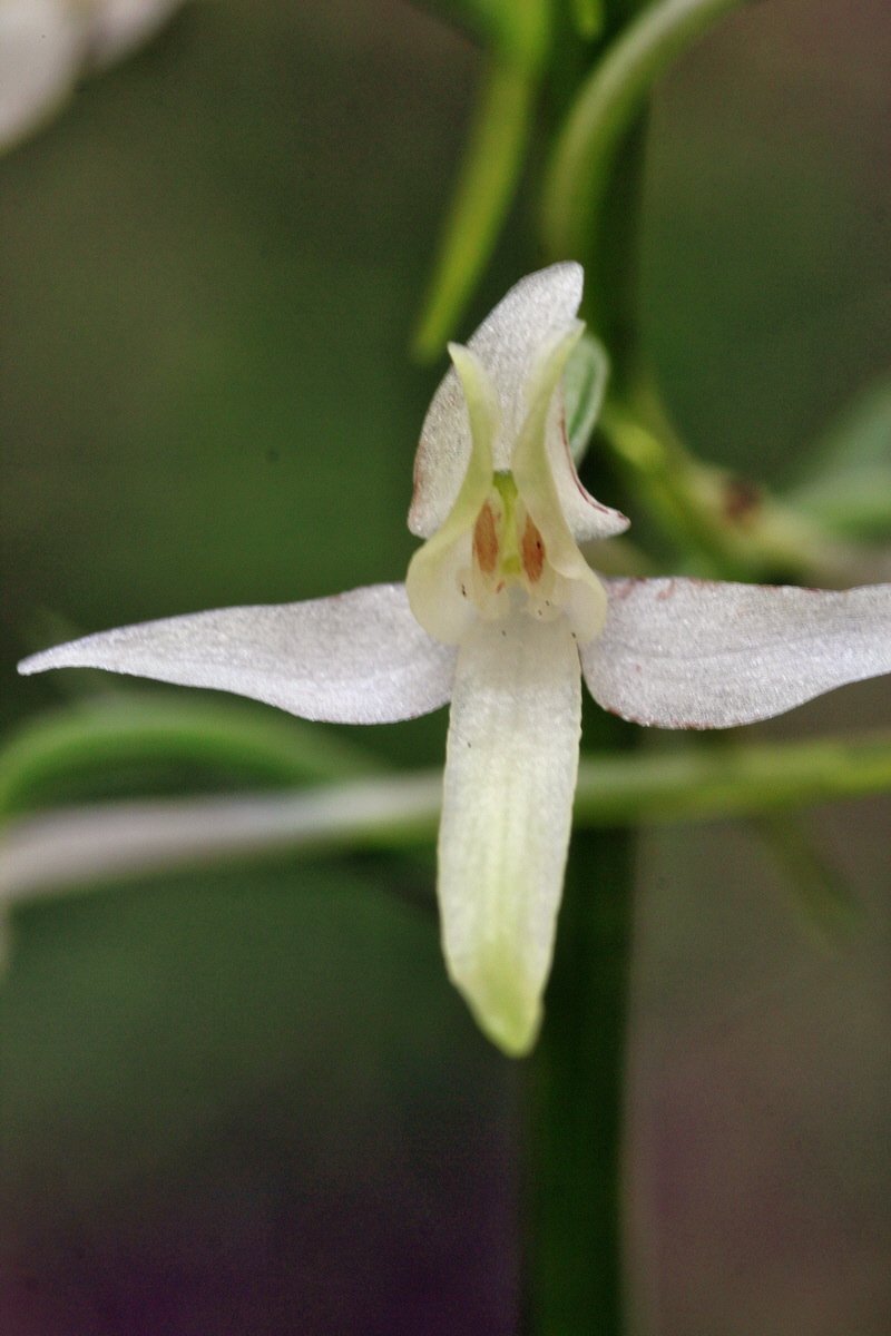 2014_06_01_00044623p_Bildgr��e �ndern