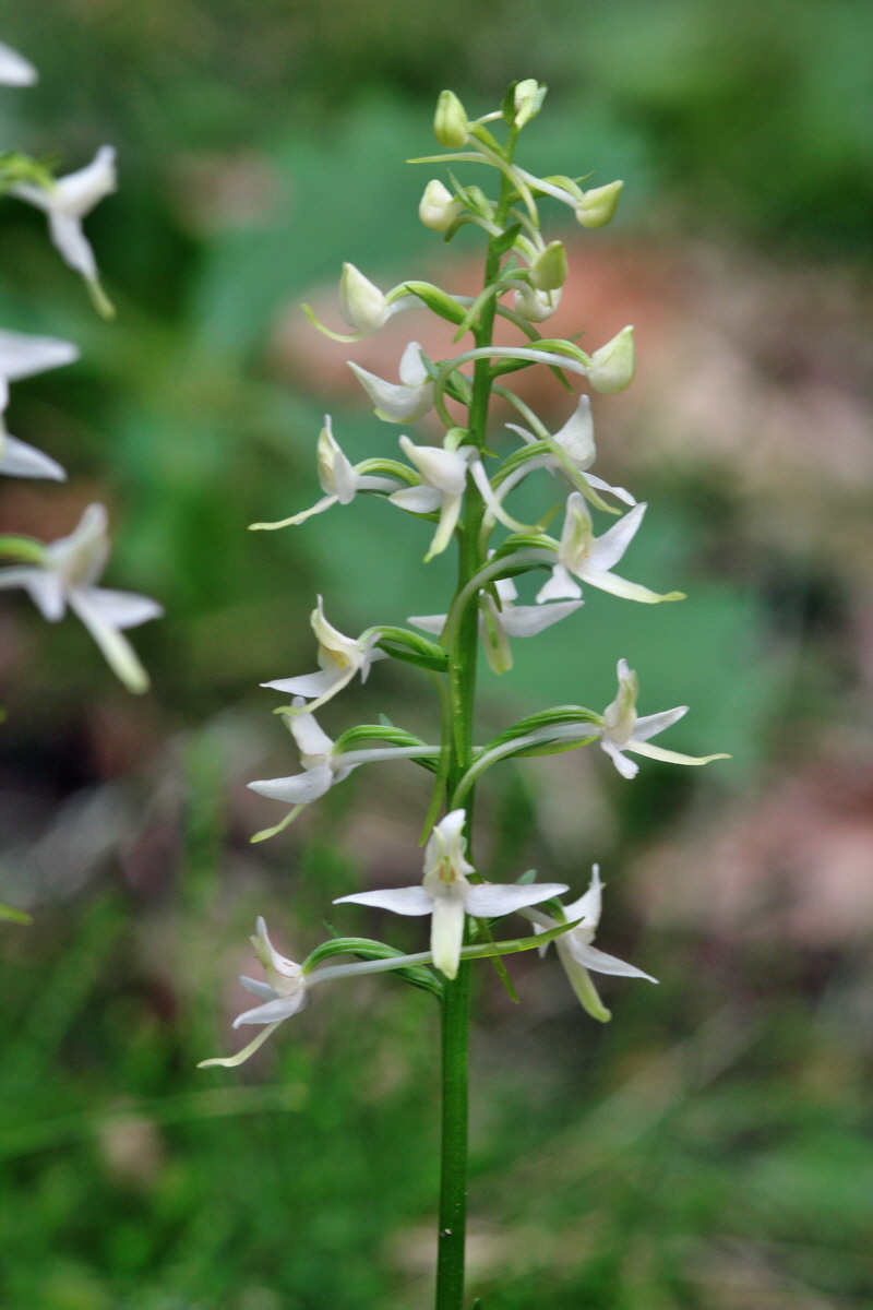 2014_06_01_00044646p_Bildgr��e �ndern