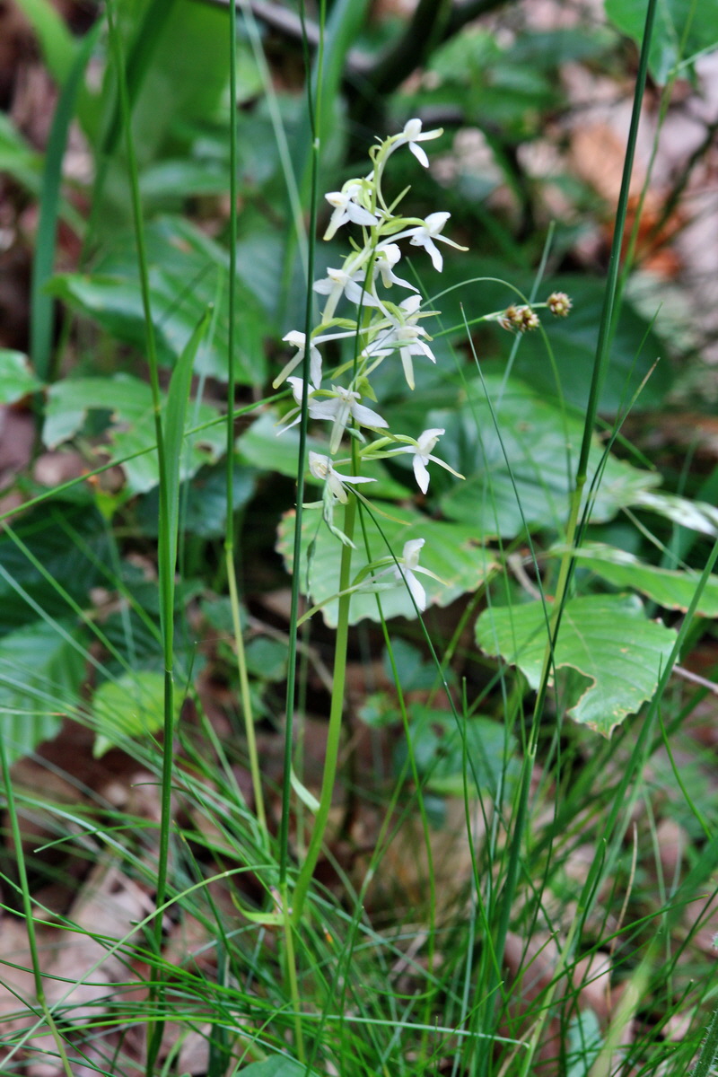 2014_06_01_00044664p_Bildgr��e �ndern