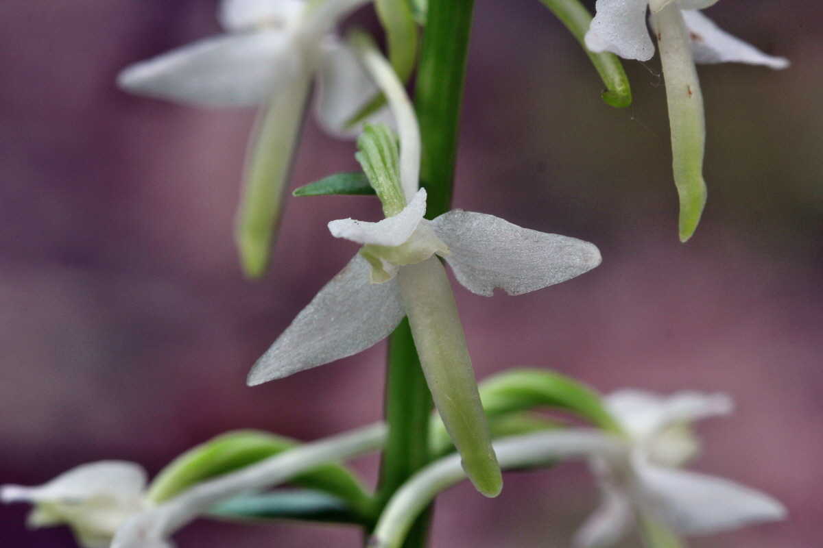 2014_06_01_00044669p_Bildgr��e �ndern