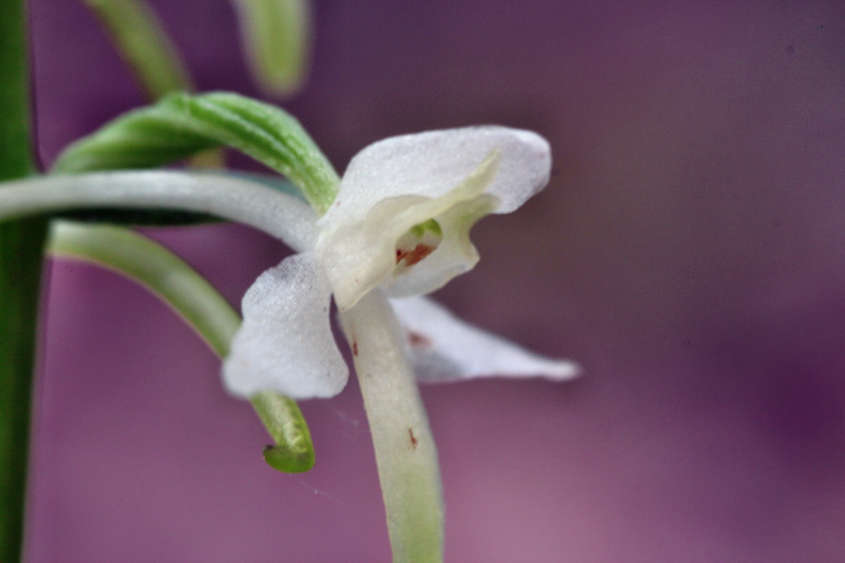 2014_06_01_00044684p_Bildgr��e �ndern