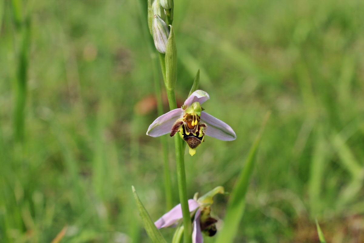 2014_06_01_00044687p_Bildgr��e �ndern