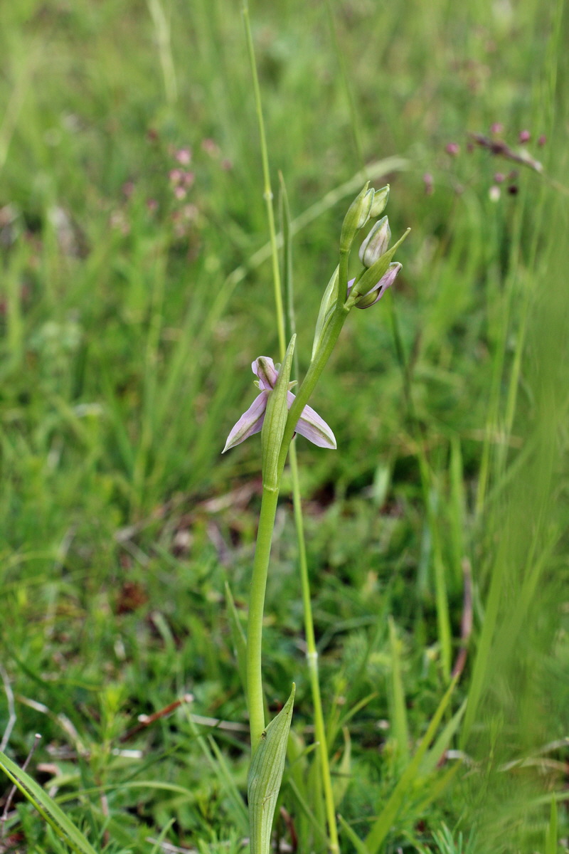 2014_06_01_00044704p_Bildgr��e �ndern