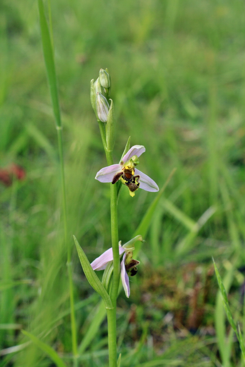 2014_06_01_00044710p_Bildgr��e �ndern