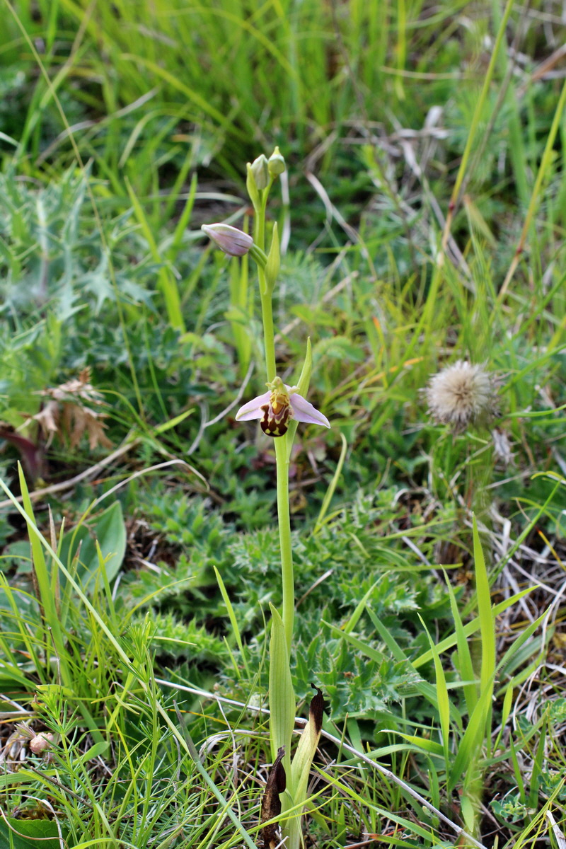 2014_06_01_00044715p_Bildgr��e �ndern