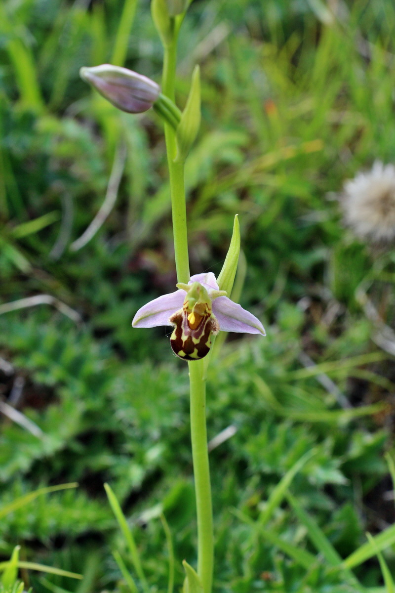 2014_06_01_00044716p_Bildgr��e �ndern