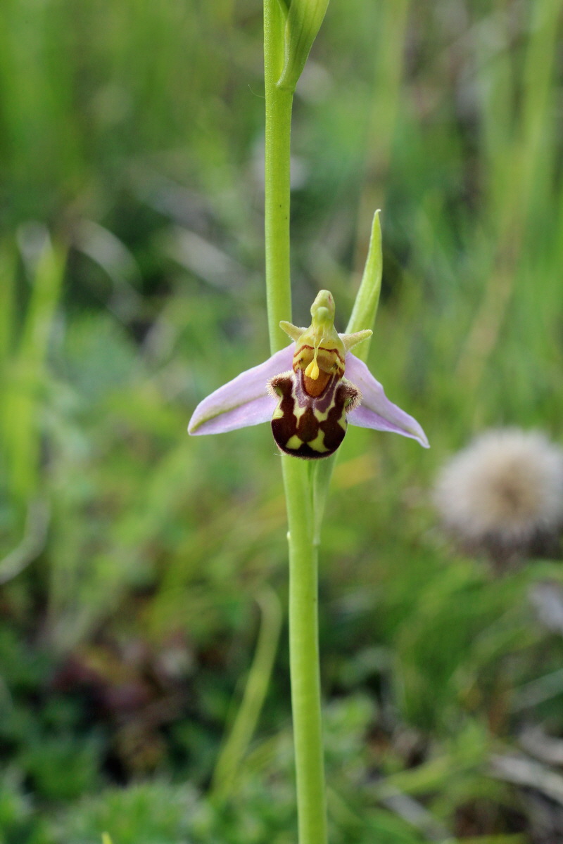 2014_06_01_00044719p_Bildgr��e �ndern