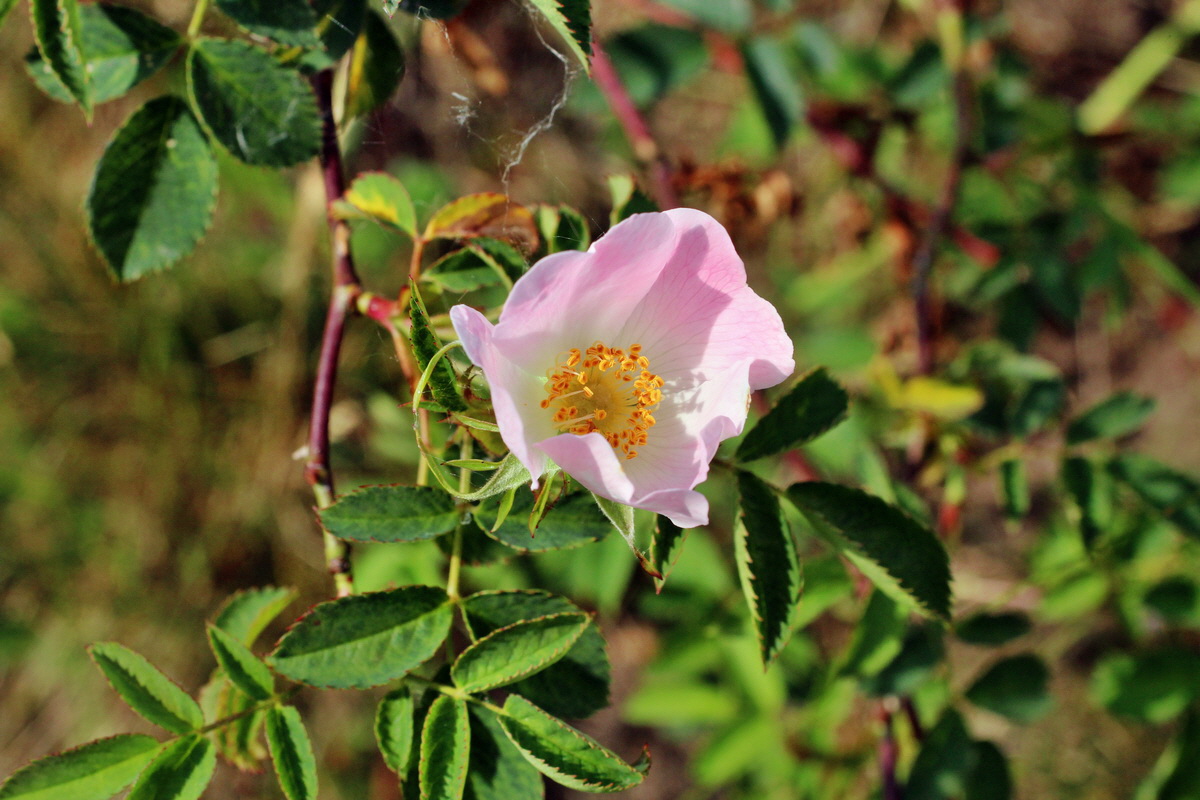 2014_06_01_00044734p_Bildgr��e �ndern