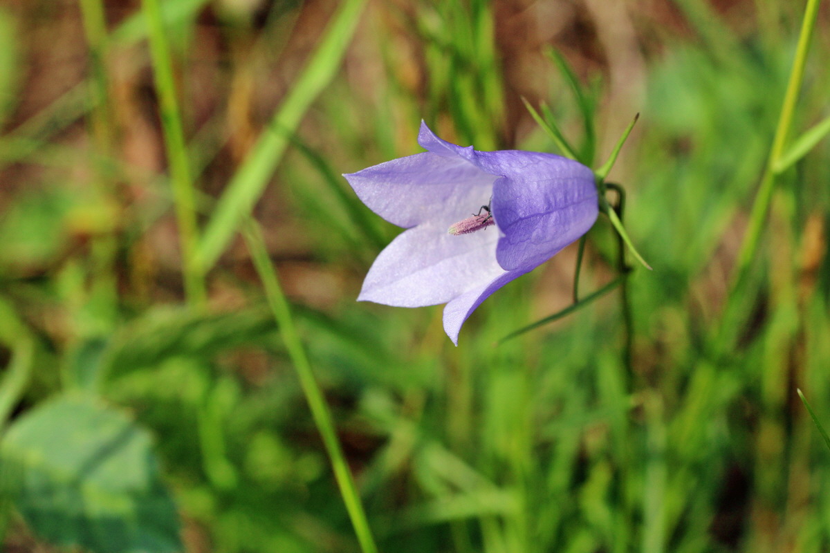 2014_06_01_00044738p_Bildgr��e �ndern