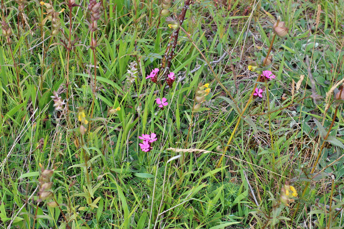 2014_06_01_00044741p_Bildgr��e �ndern