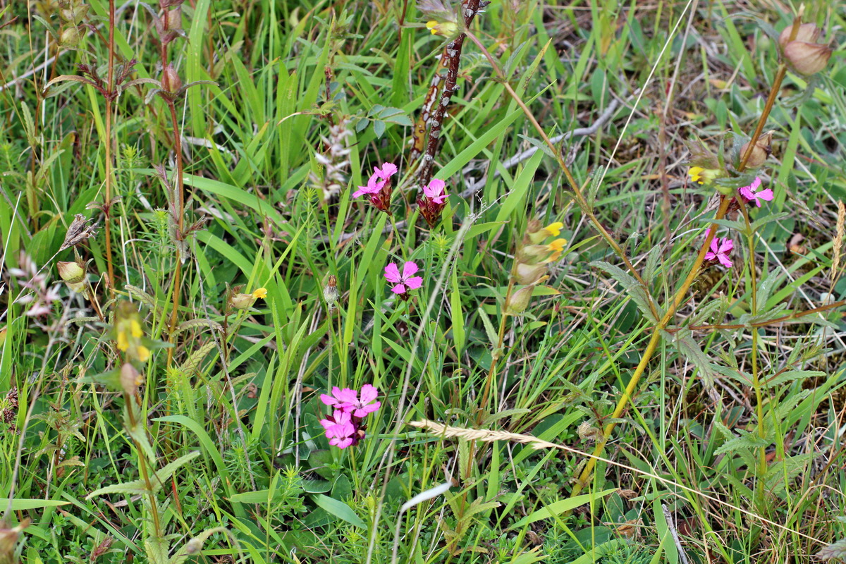 2014_06_01_00044744p_Bildgr��e �ndern