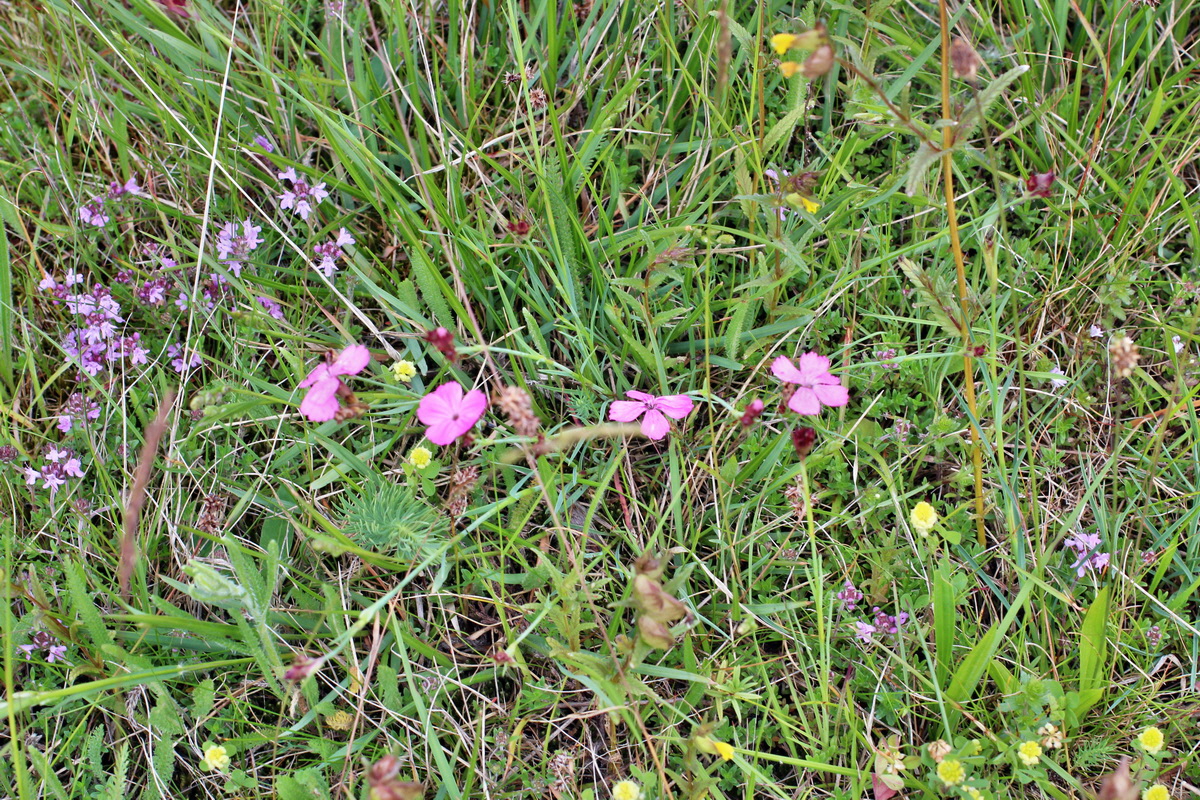 2014_06_01_00044747p_Bildgr��e �ndern