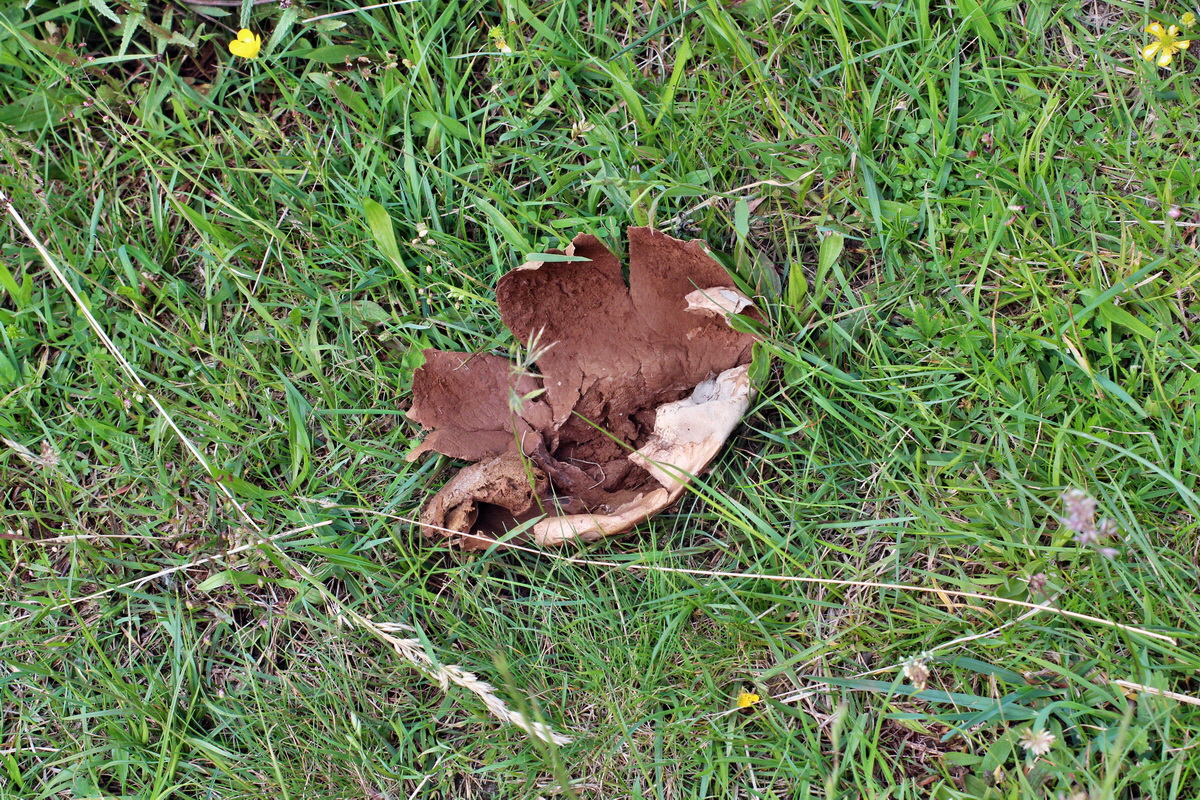 2014_06_01_00044753p_Bildgr��e �ndern