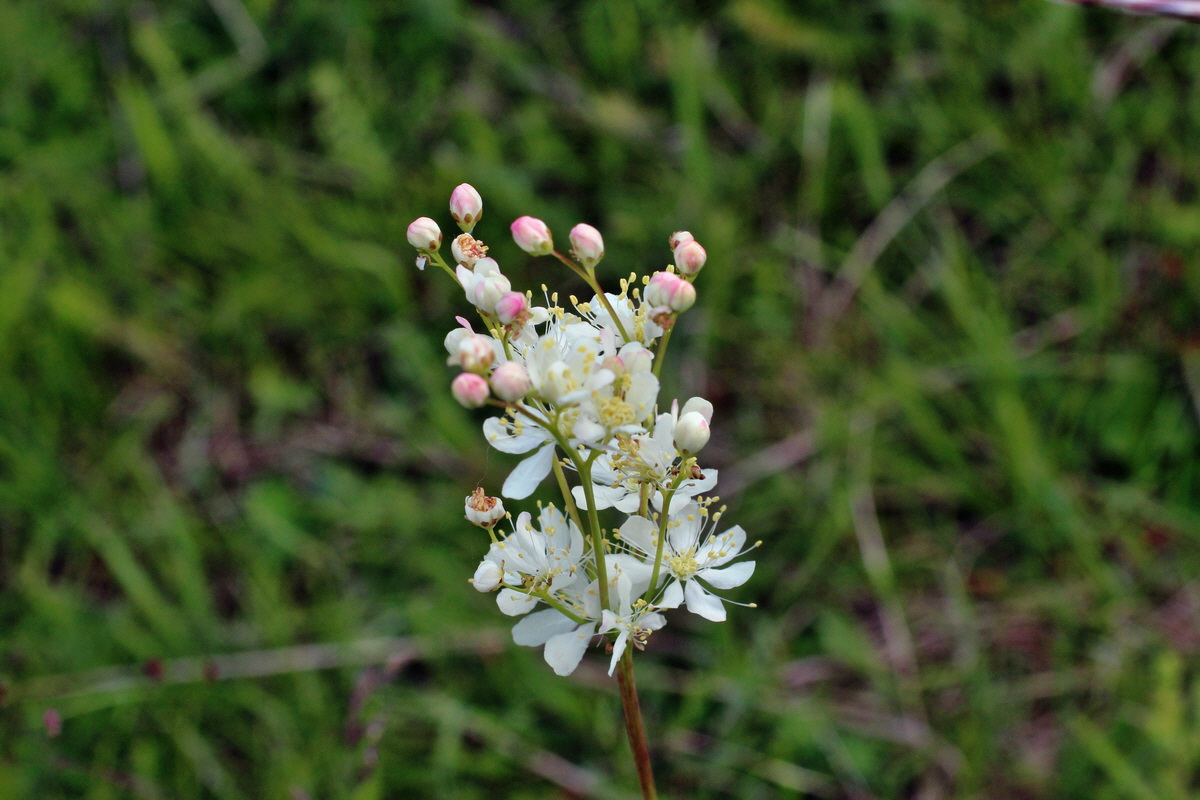 2014_06_01_00044760p_Bildgr��e �ndern