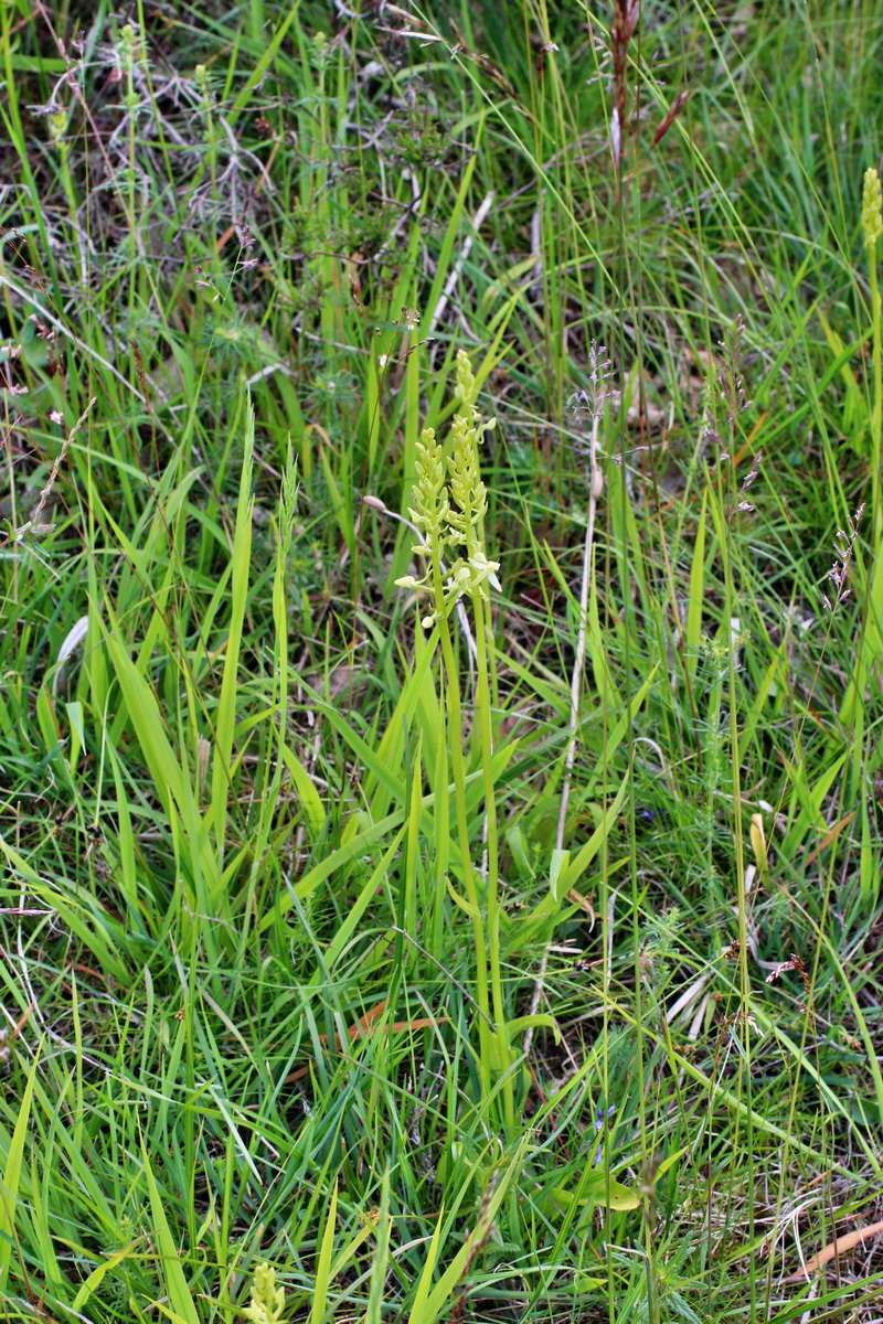 2014_06_01_00044770p_Bildgr��e �ndern