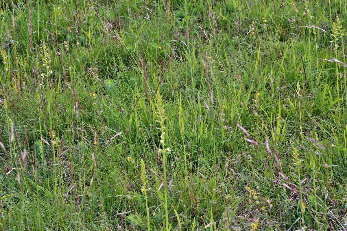 2014_06_01_00044772p_Bildgr��e �ndern