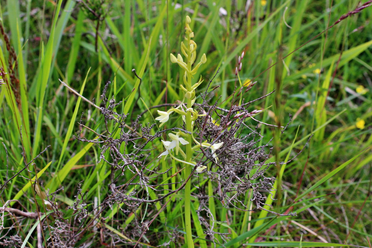 2014_06_01_00044775p_Bildgr��e �ndern