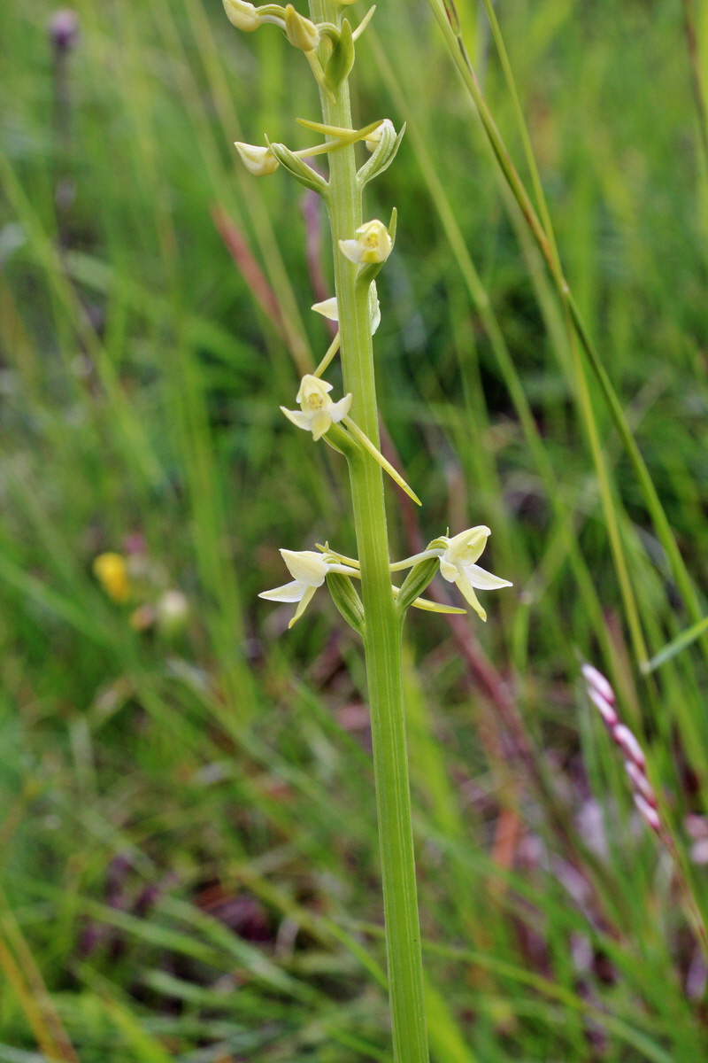 2014_06_01_00044778p_Bildgr��e �ndern