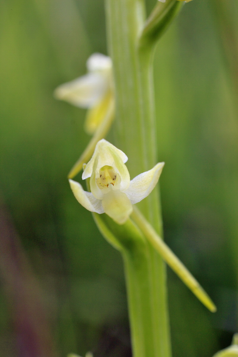 2014_06_01_00044781p_Bildgr��e �ndern