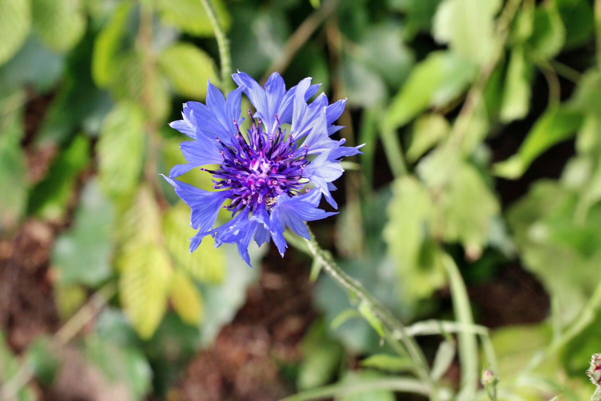 2014_06_01_00044798p_Bildgr��e �ndern