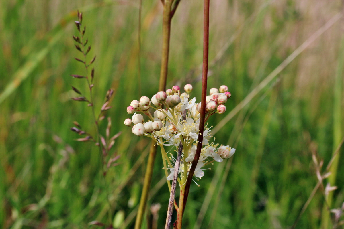 2014_06_01_00044805p_Bildgr��e �ndern