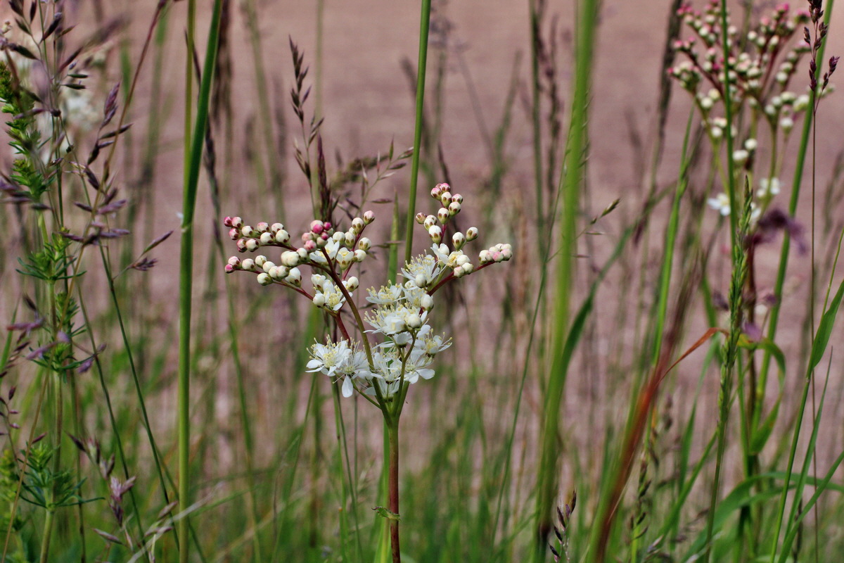 2014_06_01_00044809p_Bildgr��e �ndern