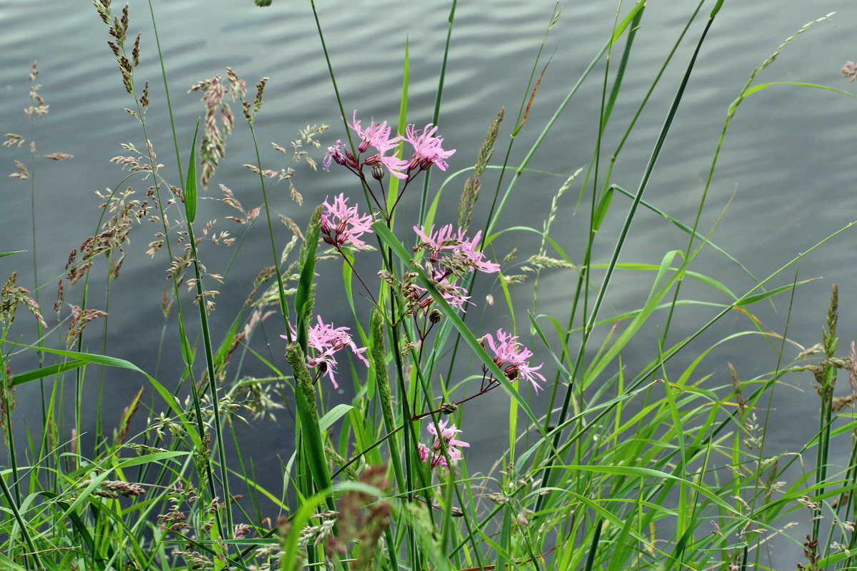 2014_06_01_00044815p_Bildgr��e �ndern