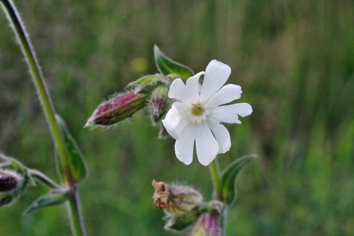 2014_06_01_00044833p_Bildgr��e �ndern