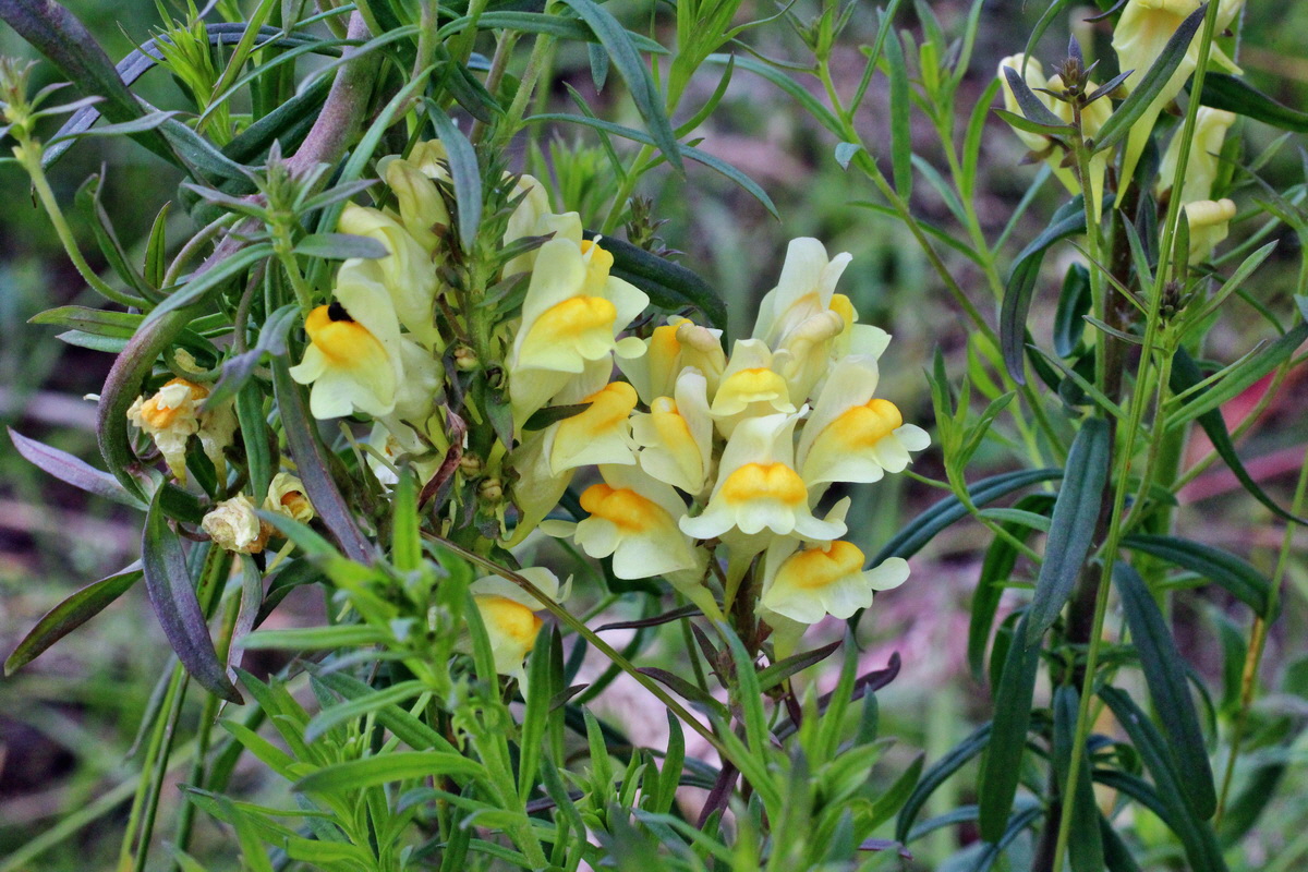 2014_06_01_00044843p_Bildgr��e �ndern