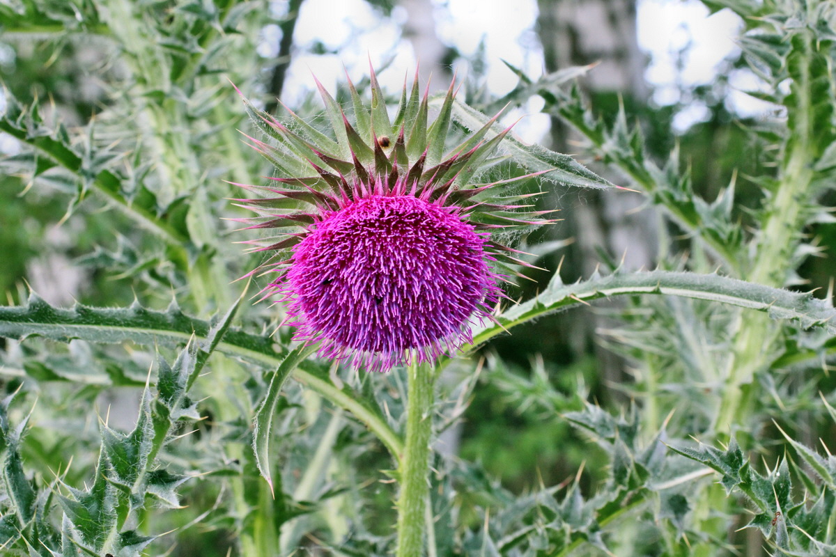 2014_06_01_00044849p_Bildgr��e �ndern