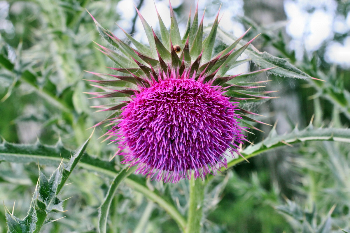 2014_06_01_00044853p_Bildgr��e �ndern