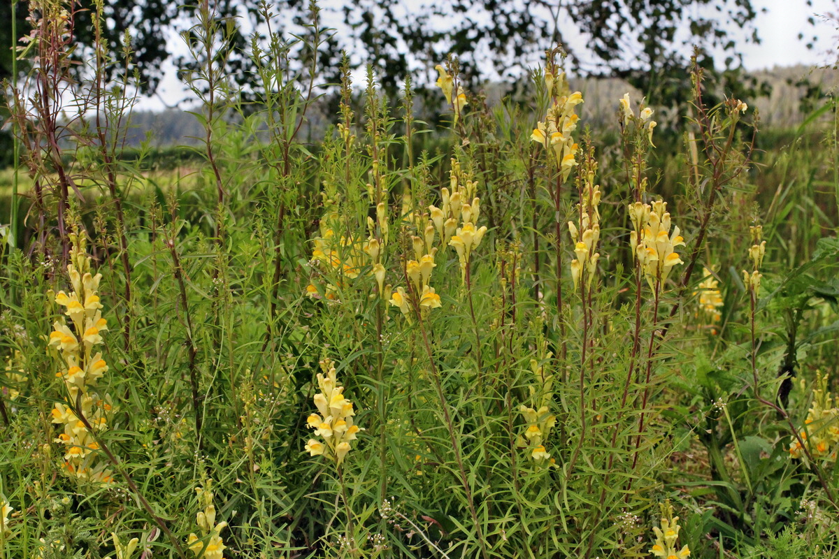 2014_06_01_00044862p_Bildgr��e �ndern