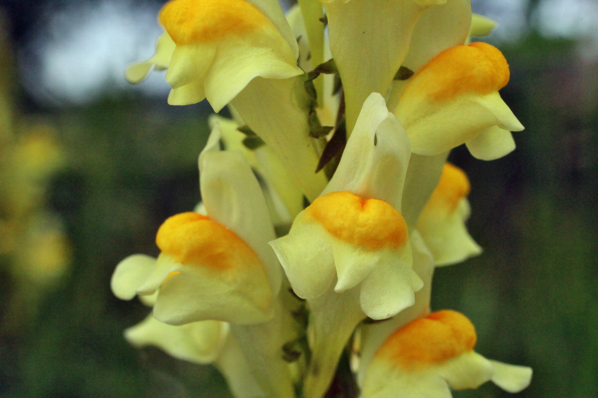 2014_06_01_00044864p_Bildgr��e �ndern