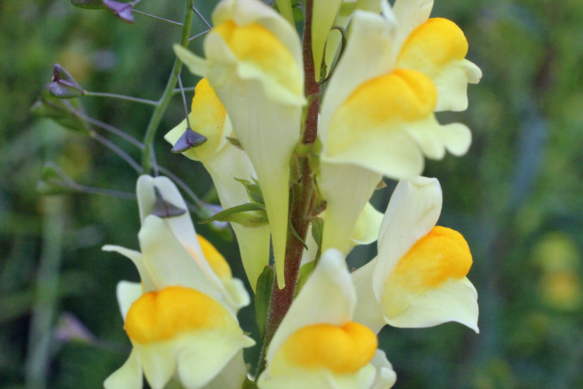 2014_06_01_00044869p_Bildgr��e �ndern