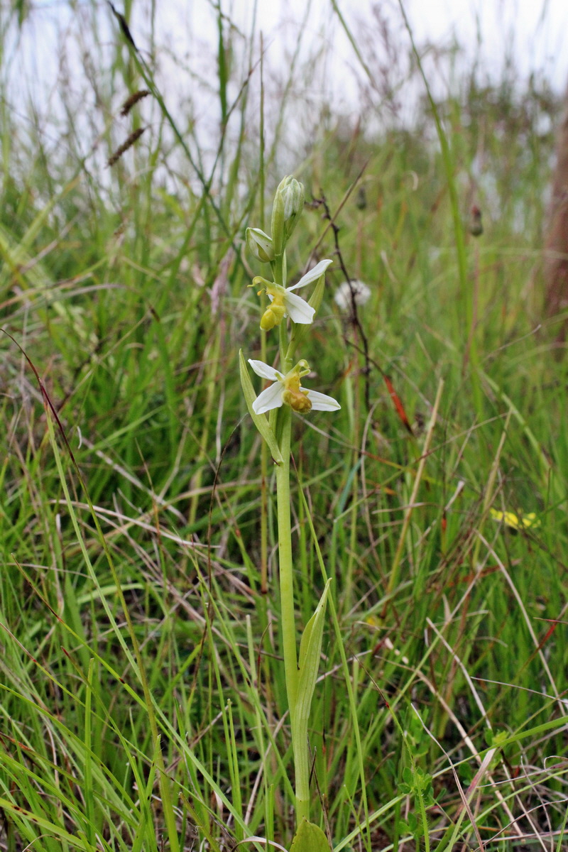 2014_06_02_00044872p_Bildgr��e �ndern